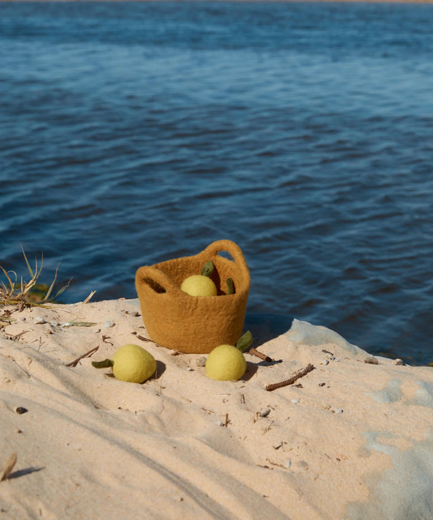 Basket of Lemons