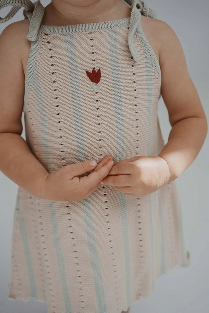 Embroidered Pointelle Tie Dress | Mist Stripe