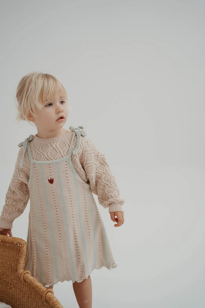 Embroidered Pointelle Tie Dress | Mist Stripe