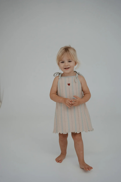 Embroidered Pointelle Tie Dress | Mist Stripe