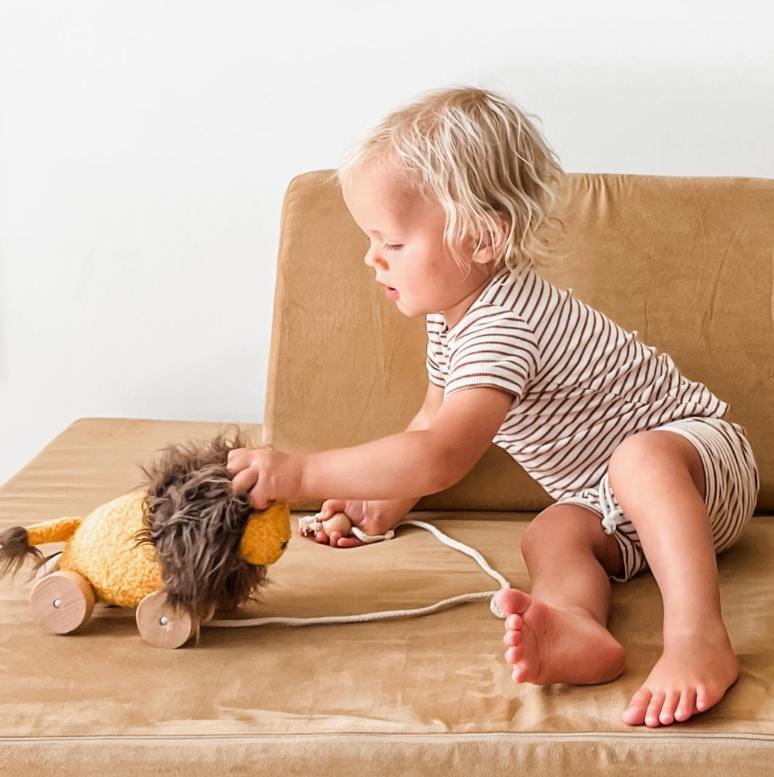 Leo the Pull-Along Lion