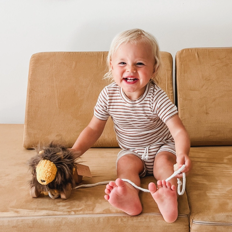 Leo the Pull-Along Lion